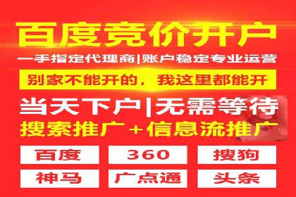 SEM推广案例：打造高效广告投放策略